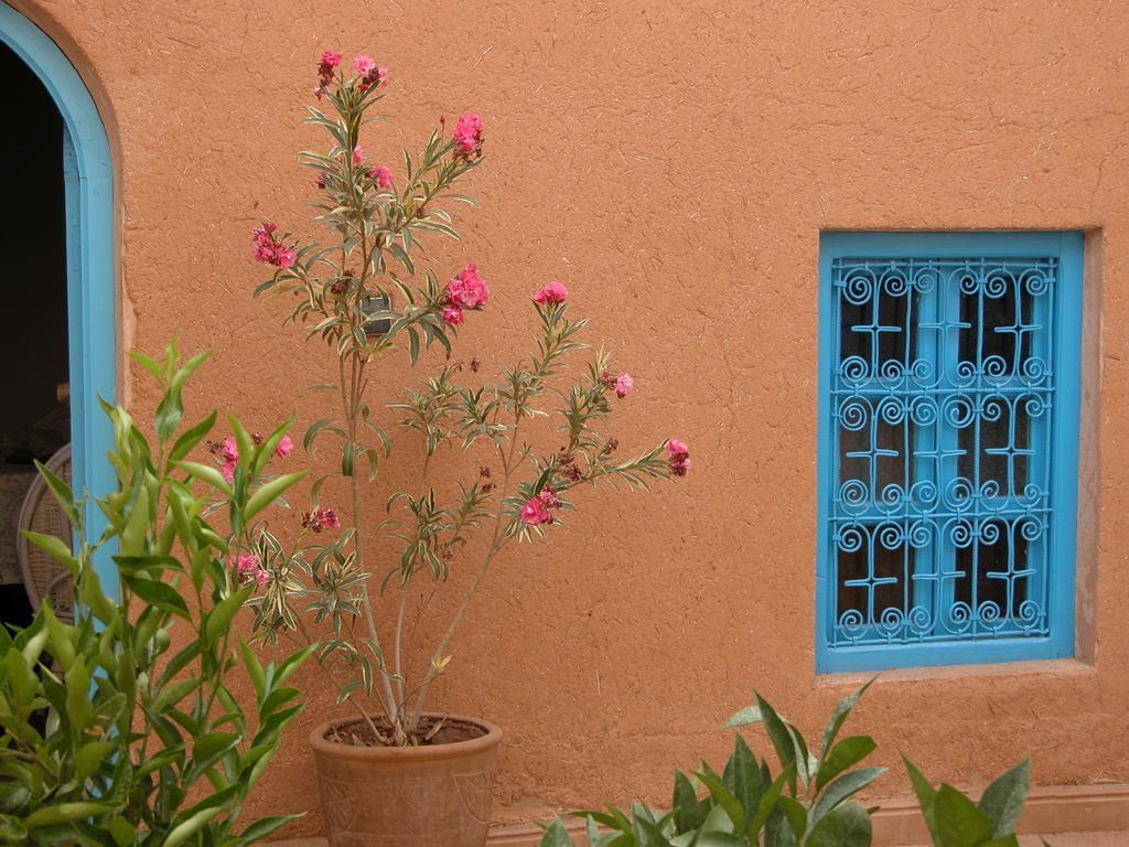 Bed and Breakfast Kasbah Iswan Kelaat-M'Gouna Exterior foto